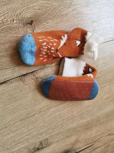 Hundeschuhe / Pfotenschutz-Beitrag-Bild