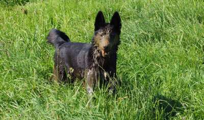 Lieblings Schnappschuss?-Beitrag-Bild