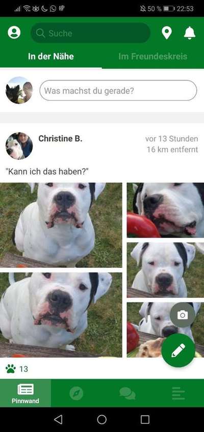 Gassi gehen! Aber wo?-Beitrag-Bild