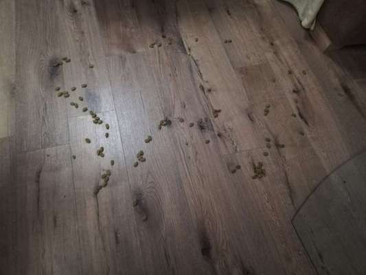 Tatort Challenge
Wer macht mit und schafft es?-Beitrag-Bild