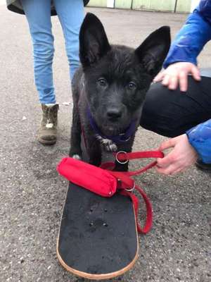 Lieblings Schnappschuss?-Beitrag-Bild