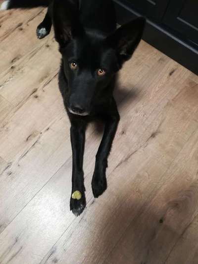 Lieblings Schnappschuss?-Beitrag-Bild