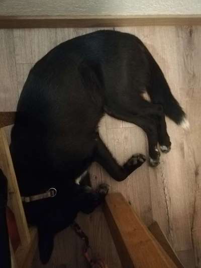 Vorher.... Nachher-Beitrag-Bild