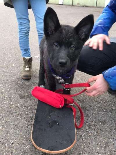 Lustige Bilder-Beitrag-Bild