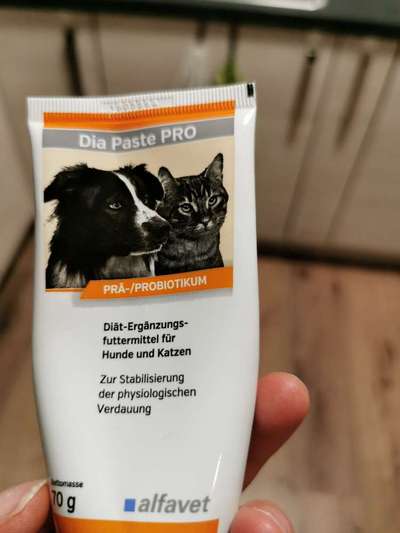 Krümel plagt weicher stuhl..-Beitrag-Bild