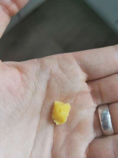 Heute gibt es.....der "ich mach die Leckerlis-Selber-Thread"-Beitrag-Bild