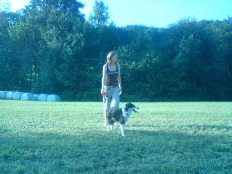 Mischlinge - die beste Rasse die es gibt-Beitrag-Bild