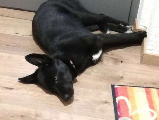 Die unbequemsten und lustigsten Schlafpositionen-Beitrag-Bild