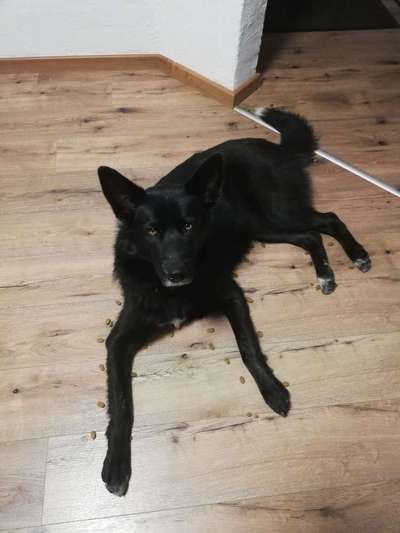 Tatort Challenge
Wer macht mit und schafft es?-Beitrag-Bild