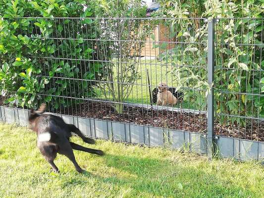 Fotochallenge No. 5-Beitrag-Bild