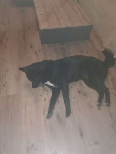 Tatort Challenge
Wer macht mit und schafft es?-Beitrag-Bild