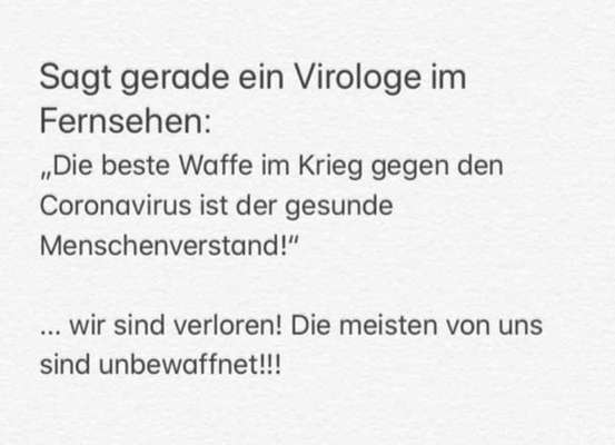 Coronavirus und Haustiere-Beitrag-Bild