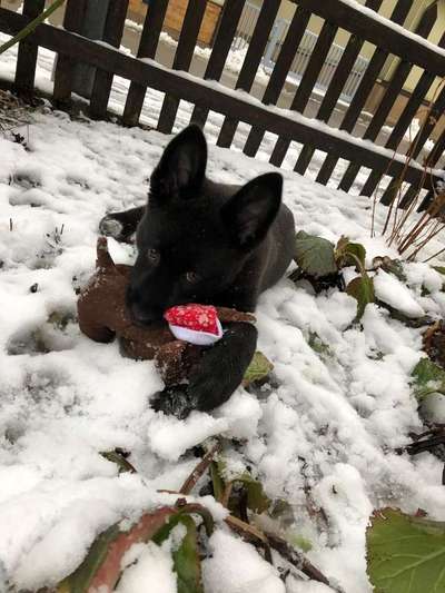 Foto Challenge 3-Beitrag-Bild