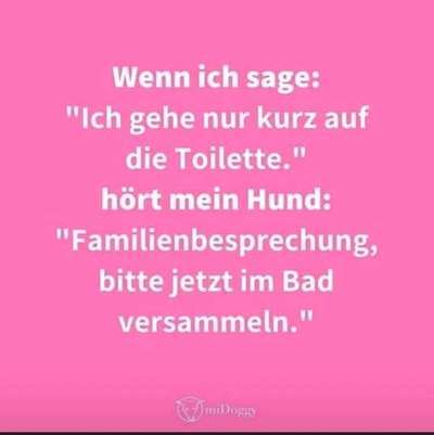 Hunde sprüche-Beitrag-Bild