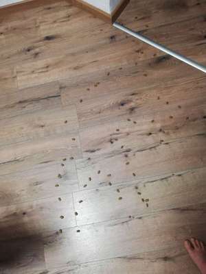 Tatort Challenge
Wer macht mit und schafft es?-Beitrag-Bild