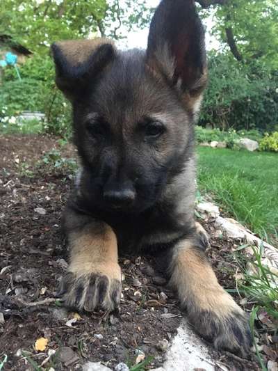 Foto Challenge 3-Beitrag-Bild