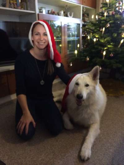 Challenge Nr. 8  Dein Hund im Weihnachtslook-Beitrag-Bild