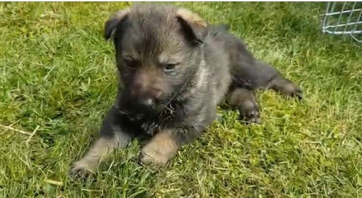 Foto Challenge 3-Beitrag-Bild