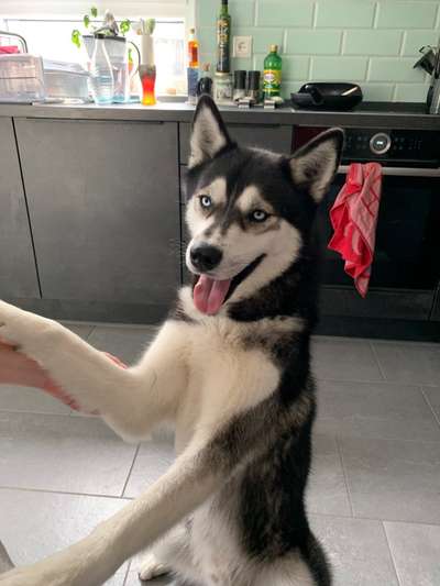 Lieblings Fotos-Beitrag-Bild