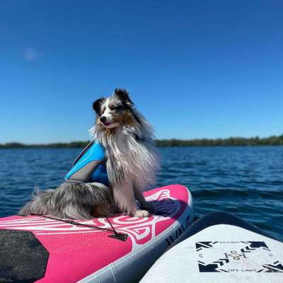 Dogorama-Monats-Challenge-Mai "Wasser"-Beitrag-Bild