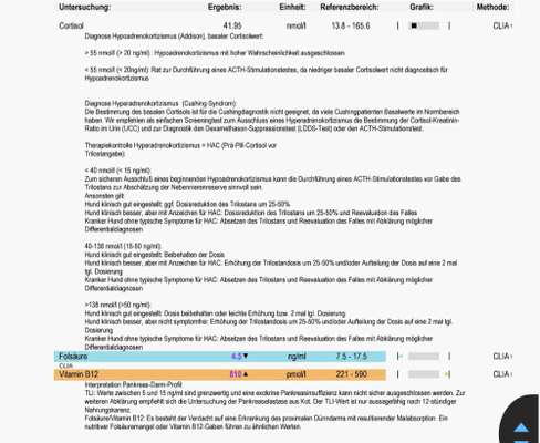 Durchfall - Ärzte ratlos-Beitrag-Bild