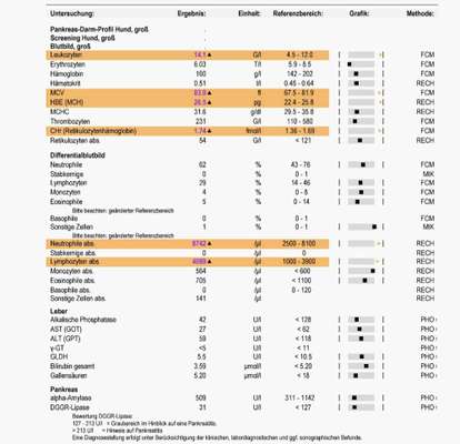 Durchfall - Ärzte ratlos-Beitrag-Bild