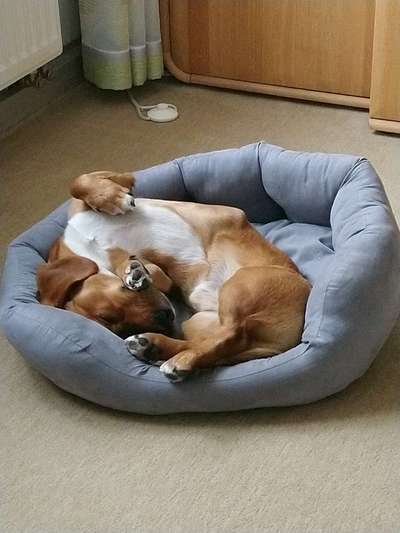 Foto Challenge Nr. 134-Beitrag-Bild