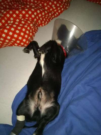 Schlafposition-Beitrag-Bild