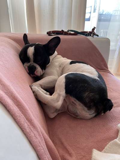 Foto Challenge Nr. 134-Beitrag-Bild