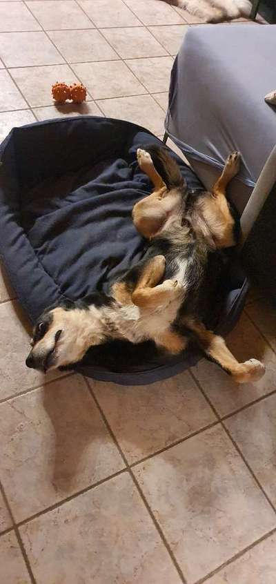 Foto Challenge Nr. 134-Beitrag-Bild