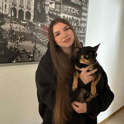 Hundetreffen-Treffen mit Hunden wo man trainieren kann, oder sonstiges:)