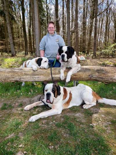 Challenge 33 - Du und dein Hund-Beitrag-Bild