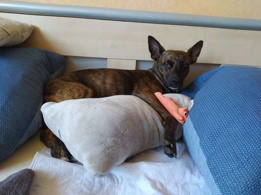 CHALLENGE NR. 34 - Liege-/Schlafpositionen-Beitrag-Bild