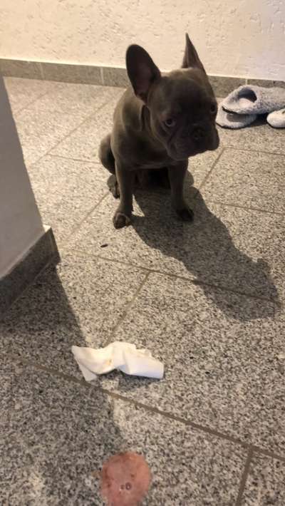 Mandelentzündung oder doch etwas anderes?-Beitrag-Bild