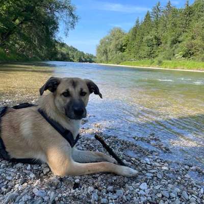 HSH abgeben?-Beitrag-Bild