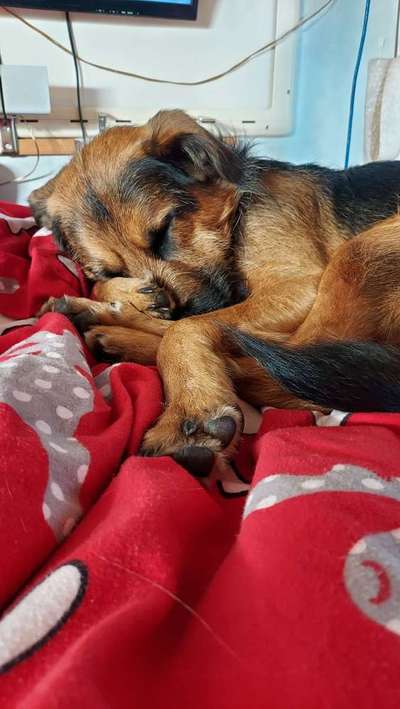 Gemeinsames Kuscheln im Bett!-Beitrag-Bild