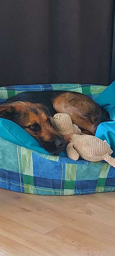 Lieblingsbild-Beitrag-Bild