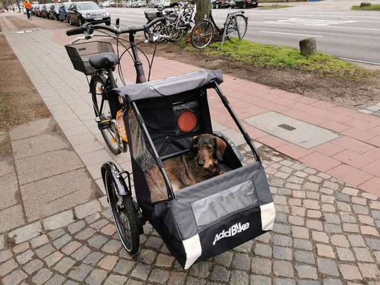 Fahrradanhänger? Lastenrad?-Beitrag-Bild
