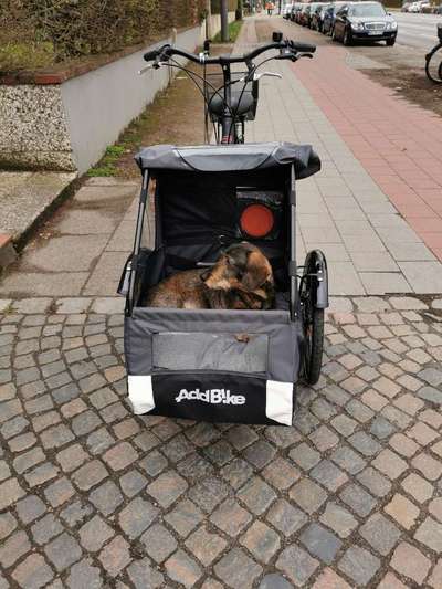 Fahrradanhänger? Lastenrad?-Beitrag-Bild