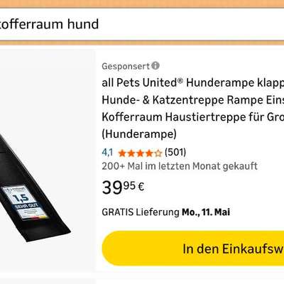 Kaufempfehlung Rampe fürs Auto/ Kofferraum gesucht-Beitrag-Bild