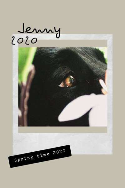 Dein Hund im Dogorama-Kalender 2021-Beitrag-Bild