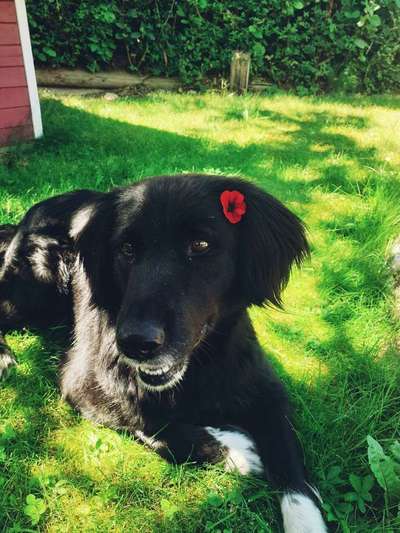 Immer lächeln !-Beitrag-Bild