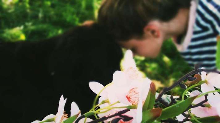 Dein Hund im Dogorama-Kalender 2021-Beitrag-Bild