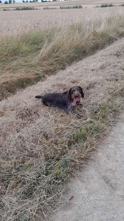 Handy-Foto Challange Nr. 10-Beitrag-Bild