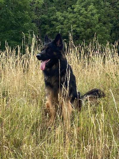 Theos  Fotochallenge Nummer 2-Beitrag-Bild