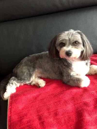 Gemeinsames Kuscheln im Bett!-Beitrag-Bild