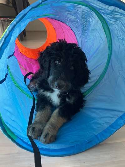 Lieblingsbild-Beitrag-Bild