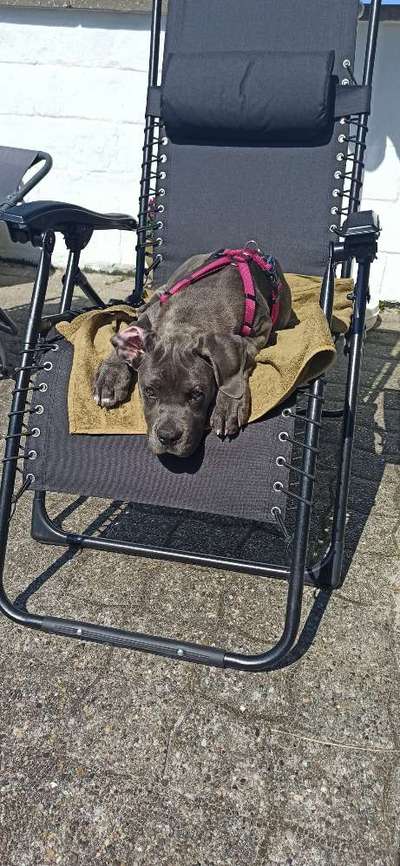 Zeigt eure schönsten Sommerbilder-Beitrag-Bild