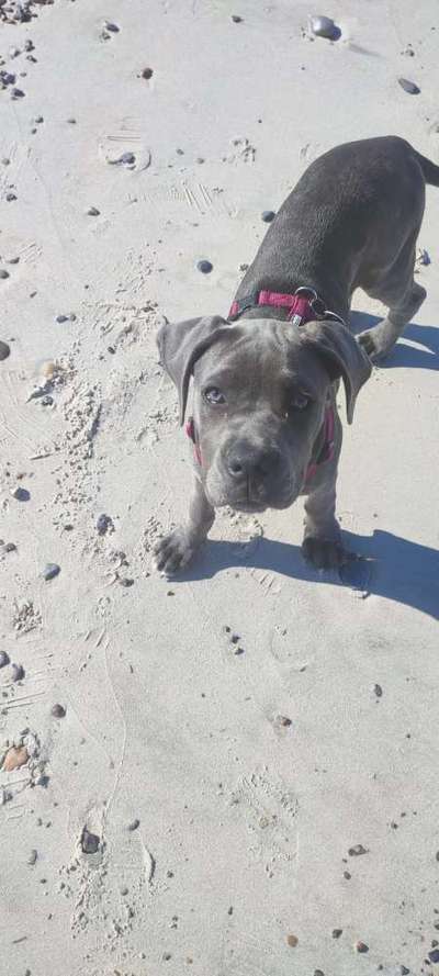 Zeigt eure schönsten Sommerbilder-Beitrag-Bild