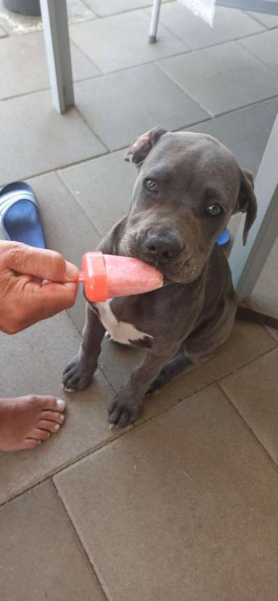 Zeigt eure schönsten Sommerbilder-Beitrag-Bild